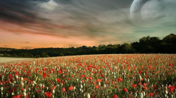 为什么很多香港明星没有子女？